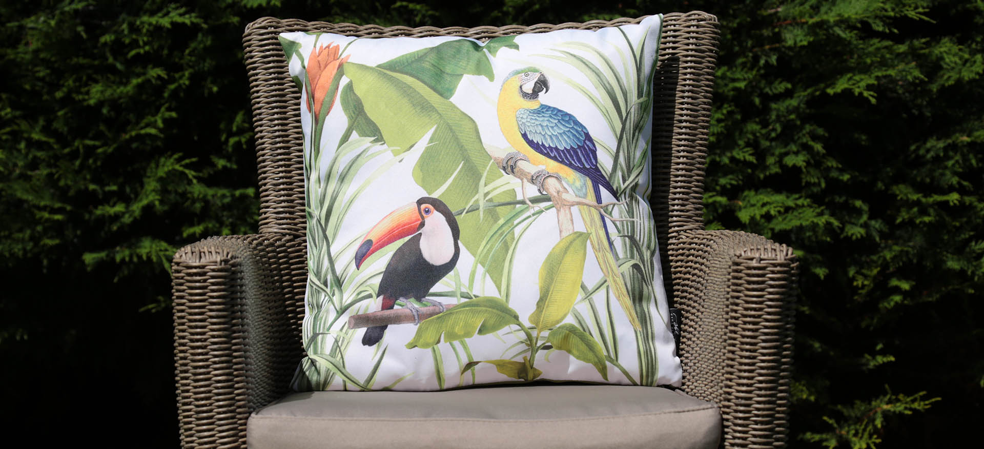 Enchanting Scatter Cushions Amazonia